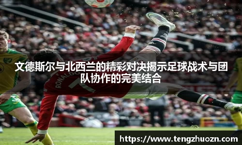 球王会官方网站
